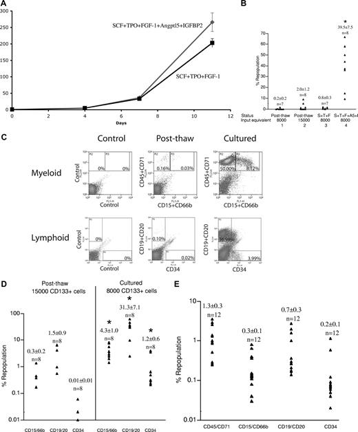 Figure 4. Culture of human cord blood CD133+ cells in the presence of Angptl5 and IGFBP2 stimulates ex vivo expansion of SRCs. (A) Culture of 104 cryopreserved human cord blood CD133+ cells was initiated in serum-free STF medium (containing SCF, TPO, and FGF-1), or in STF medium supplemented with 500 ng/mL human Angptl5 and 500 ng/mL human IGFBP2, at 5% O2. Total cell numbers were counted during the 11 days of culture period. (B) Extent of human chimerism in the bone marrow of NOD/SCID mice that received a transplant of 8000 or 15 000 uncultured human cord blood CD133+ cells, or the progenies of 8000 initial CD133+ cells cultured in STF medium with or without Angptl5 and IGFBP2 for 11 days. Each symbol represents the engraftment of a single mouse that underwent transplantation assayed at 2 months after transplantation (n = 7-8). *Significantly different from lanes 1-3. Student t test, P < .05. (C) Representative fluorescence-activated cell sorting (FACS) plots of bone marrow cells from one mouse at the condition represented by lane 1 of panel B (after thaw), or at the condition represented by lane 4 of panel B (cultured in STF medium containing IGFBP2 and Angptl5) at 2 months after transplantation. Percentages of cells in each quadrant are listed. (D) Summary of multilineage reconstitution from mice in lanes 2 and 4 of panel B (n = 8, respectively). Some mice that received a transplant of uncultured cells had 0% donor repopulation and these data points are not plotted. *Values are significantly different from values of the uncultured cells. Student t test, P < .05. (E) Bone marrow cells collected from mice represented by lane 4 of panel B were transplanted into secondary recipients; bone marrow aspirate from one hind leg from a primary recipient was transplanted into 2 secondary recipients. Multilineage engraftment in secondary NOD/SCID recipients was assayed at 5 to 8 weeks after transplantation (n = 12 mice underwent transplantation).