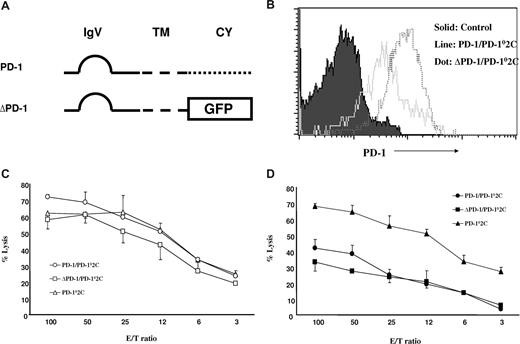 Figure 2. PD-1 signaling to T cells is not required for molecular shield. (A) Schematic of wild-type PD-1 (PD-1) and intracellular domain-truncated PD-1 (ΔPD-1) genes. IgV indicates IgV domain; TM, transmembrane domain; CY, cytoplasmic domain, GFP, gene encoding for GFP. (B) The expression of PD-1 on 2C × PD-1KO T cells upon transduction. PD-1KO (PD-10) 2C T cells were transduced with lentiviruses containing either wild-type PD-1 (PD-1) or truncated PD-1 (ΔPD-1), and each cell line was examined for PD-1 expression by flow cytometry using anti-mouse PD-1 mAb (G4). (C,D) Cytolytic activity of PD-1 transduced PD-102C against P815 tumor cells. Activated PD-1/PD-102C, ΔPD-1/PD-102C, or nontransduced PD-102C CTL was incubated at indicated E/T ratios with 51Cr-labeled mock/P815 (C) or B7-H1/P815 (D) cells in the presence of control IgG or anti-mouse B7-H1 mAb (10B5) for 4 hours. CTL activity was determined in a 51Cr release assay. Each point is the mean of triplicates with SD. Data are representative of 3 experiments.