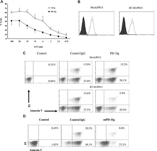 Figure 6. B7-H1 transmits an antiapoptotic signal to tumor cells. (A) B7-H1/P815 were cultured in the wells, which were precoated with either control IgG (Ctl Ig) or murine PD-1Ig (PD-1Ig) at 5 μg/mL for 18 hours. After extensive washing, cells were labeled with 51Cr and further incubated with activated PD-102C CTLs at indicated E/T ratios for 4 hours. CTL activity was determined in a 51Cr release assay. Each point is the mean of triplicates with SD. The data are representative of at least 3 experiments. (B) PD-1 stimulation of B7-H1+ tumor cells does not change the expression of Fas. The expression of Fas on mock/P815 or B7-H1/P815 cells before and after culture with immobilized murine PD-1Ig was determined by antimurine Fas mAb in flow cytometric analysis as described above. (C) PD-1 stimulation reduced the susceptibility of tumor cells to Fas mAb-mediated apoptosis. Mock/P815 or B7-H1/P815 cells were cultured in the presence of immobilized control IgG or murine PD-1Ig (5 μg/mL) for 18 hours. After extensive washing, cells were then transferred to the wells coated with anti-mouse Fas antibody (5 μg/mL). After 48 hours of culture, the cells were subjected to an annexin-V and PI binding assay. Mock/P815 without treatment was served as negative control (control). (D) PD-1 stimulation reduced the susceptibility of tumor cells to STP-induced apoptosis. B7-H1/P815 cells were cultured in the presence of immobilized control IgG or murine PD-1Ig (5 μg/mL) for 18 hours. After extensive washing, cells were treated with STP at 0.25 μM for 8 hours and subjected to an annexin-V binding assay. The numbers in the graph indicate the percentage of annexin-V+ or annexin-V+ and PI+ cells.