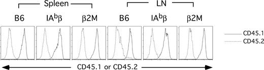 Figure 2. Dendritic cells in B6 CD45.1→B6 β2M−/− or B6 IAbβ−/− are mostly donor in origin. Spleens and LNs were collagenase-treated, and cells were stained with a cocktail of lineage antibodies, anti-CD11c and anti-CD45.1 or CD45.2 (“Analysis of dendritic cell engraftment”). Shown is CD45.1 (——) and CD45.2 (----) staining of lineagelow CD11c+ cells from representative mice (at least 3 mice were analyzed from each group in each experimental repetition).