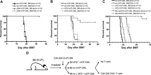 Figure 7. β2M−/− and IAbβ−/− mCP-CML are resistant to CD8- and CD4-mediated GVL. (A) B6 mice were irradiated and reconstituted with TCD C3H.SW BM, wt B6 or β2M−/− mCP-CML, with or without C3H.SW donor CD8+ T cells. (B) B6 mice were irradiated and reconstituted with TCD 129 BM, wt B6 or IAbβ−/− mCP-CML, with or without purified 129 CD4+ T cells. (C) To determine whether the GVL resistance of IAbβ−/− mCP-CML is in the effector phase, irradiated B6 mice were reconstituted with TCD C3H.SW BM, wt mCP-CML, or IAbβ−/− mCP-CML or a mix of both wt and IAbβ−/− mCP-CML, with or without purified C3H.SW CD4+ T cells. Note that the only survivors were recipients of wt mCP-CML cells and donor C3H.SW CD4 cells, indicating that IAbβ−/− mCP-CML is GVL-resistant because of a defect in the effector phase. (D) Experimental design for panel C.