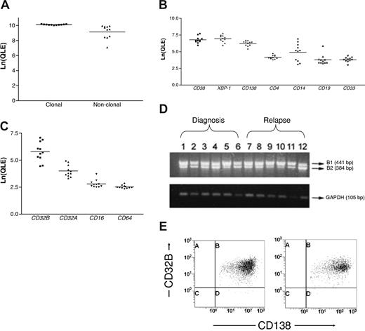 Figure 1. CD32B expression by clonal plasma cells in AL-amyloidosis. (A) The loge-transformed quantitative expression levels (Ln(QLE)) for the clonal and nonclonal light-chain constant region genes are shown (horizontal lines are mean values). The clonal genes were expressed at significantly higher levels than the nonclonal, indicating that clonal plasma cells were purified (paired t test, P = .006). (B) The Ln(QLE) values of lineage-specific genes are depicted. Comparisons of the Ln(QLE) of plasma cell versus other markers were highly significant (paired t test, P < .001) except for comparisons with CD14 where the P values were .002 for CD38 and .01 for XBP-1 and CD138. CD14 levels may reflect aberrant expression of CD14 by clonal plasma cells or monocyte contamination. (C) The Ln(QLE) values of Fcγ receptor family member genes are shown (paired t test, P < .001 for CD32B compared with each of the others). (D) The CD32B1 isoform is expressed by RT-PCR using B-B4–double-enriched plasma cells at diagnosis (n = 6) and relapse (n = 6). (E) Typical flow cytometry dot plots are shown, displaying that nearly all CD138+ cells are also CD32B+. A median of 99% of the CD138+ cells in samples from 31 patients (B-B4–double-enriched cells = 11, marrow aspirate mononuclear cells = 20) coexpressed CD32B+ at diagnosis and relapse. Marrows at relapse contained a median of 8% plasma cells (range, 4%-15%).