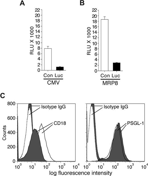 Figure 1. Characterization of miRNA vectors in the MPRO cell line. MPRO cells were transiently transfected with pGL3-luciferase reporter vector and plasmids encoding specific miRNA sequences targeting the luciferase enzyme (Luc) or a control sequence (Con) either using a CMV promoter (A) or the MRP8 promoter (B). Results from luciferase assays are reported as relative light units (RLUs). The miRNA targeting Luc efficiently reduced luciferase expression/activity compared with a control sequence. (C) MPRO cells were transfected with CMV-miR-Luc or CMV-miR-CD18 and selected using blasticidin. Shown is an example of blasticidin-resistant miR-CD18 (shaded) and miR-Luc (open) clones subjected to FACs analysis for CD18 (left panel) and PSGL-1 (right panel) expression. The histograms for isotype controls are indicated.
