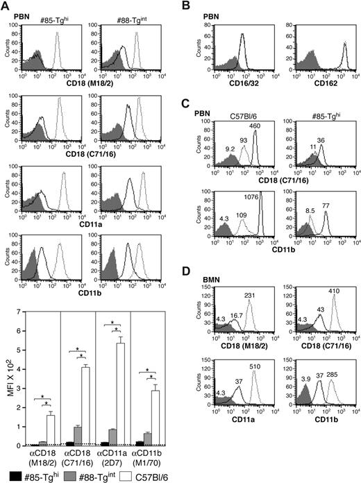 Figure 3. Evaluation of CD18 expression in neutrophils of miR-CD18 animals. (A) Mouse CD18, CD11b, and CD11a expression was analyzed by flow cytometry in peripheral blood neutrophils (PBNs) in miR-CD18 #85-Tghi (solid line), #88-Tgint (solid line), and wild-type C57Bl/6 (dotted line) mice. Data using isotype IgG are shown as shaded area in histograms. Efficiency of CD18 knockdown was determined using the average geometric mean fluorescence intensity (MFI) plus or minus SEM (graph, bottom) (n = 7-9 for each strain). Dotted line indicates average MFI in CD18-null mice (n = 4). *P < .001. (B) Mouse CD16/32 (left) and CD162 (right) expression on PBNs in #85-Tghi and wild-type mice and (C) mouse CD18 and CD11b expression in PBNs isolated from wild-type and #85-Tghi mice and stimulated in vitro without (dotted line) or with PMA (solid line) are shown. The MFI of each sample is also given. (D) Analysis of mouse CD18, CD11b, and CD11a on bone marrow neutrophils (BMNs). The MFIs of miR-CD18 #85-Tghi mouse (solid line), wild-type mouse (dotted line), and isotype control (shaded area) samples are indicated.