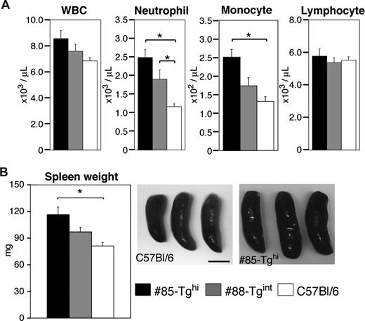 Figure 5. Measurement of peripheral blood counts and spleen weights. (A) Cell counts of total peripheral white blood cells (WBCs), neutrophils, monocytes, and lymphocytes were assessed (n = 12-20 per group). *P < .005. (B) Representative pictures of spleens from miR-CD18 #85-Tghi and wild-type C57Bl/6 mice are shown. Scale bar represents 5 mm. Average spleen weights are also given (n = 7 per group). *P < .05. All data are means plus or minus SEM.