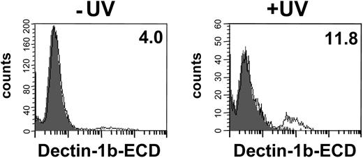 Figure 5. Binding of the hDectin-1b ECD to apoptotic HEK-293 cells. HEK-293 cells were UV irradiated (100 mJ) to induce apoptosis (+UV) or were left untreated (−UV). After overnight incubation, cells were stained with (open histogram) or without (solid histogram) the hDectin-1b ECD followed by detection with an antibody that recognizes the 6xHis tag of the ECD and an appropriate FITC-conjugated secondary antibody. The percentages of positive cells are shown in the upper right corner. The data shown are representative of 3 independent experiments.