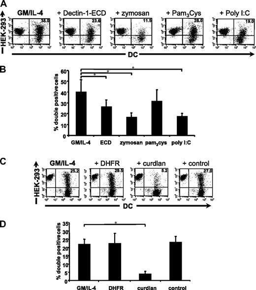 Figure 6. Phagocytosis of apoptotic cells. (A) Immature or matured (with different TLR ligands) MDCs (green) and apoptotic HEK-293 cells (red) were labeled with membrane dyes and were cocultivated for 24 hours. In some experiments, 106 zymosan particles or 10.0 μg/mL of the ECD of hDectin-1b was added to the cultures to inhibit hDectin-1–mediated recognition. Uptake of apoptotic HEK-293 cells by MDCs is represented as the double-positive cell fraction. Representative 2-color dot plots are shown. Percentage of double-positive cells is shown in the upper right quadrant. (B) The diagram represents mean (± SD) of 3 independent experiments using different donors. *P < .05 (paired t test). (C) Inhibition of the uptake of apoptotic tumor cells. Addition of the hDectin-1–specific (1→3)-β-D-glucan curdlan led to a reduction of the phagocytosis of apoptotic tumor cells (red) through immature MDCs (green). Addition of an irrelevant protein (DHFR; 10.0 μg/mL) or the buffer control (NaOH/HCl solvent of curdlan) did not affect the uptake of cellular material. Representative 2-color dot plots are shown. Percentage of double-positive cells is shown in the upper right quadrant. (D) The diagram represents mean (± SD) of 3 independent experiments. *P < .01 (paired t test).
