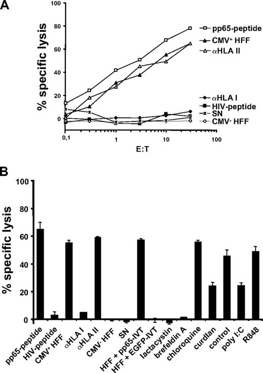 Figure 8. 51Cr-release assays using a CTL line generated from an HLA-A2– and CMV-positive donor. (A) 51Cr-release assays using a pp65-peptide–specific CTL line generated from an HLA-A2– and CMV-positive donor. Autologous MDCs pulsed with the pp65-peptide or incubated with HLA-A2–negative HFFs that were either infected with CMV (CMV+) or left untreated (CMV−) served as target cells. MDCs incubated with an irrelevant HIV peptide or supernatant (SN) from infected HFFs were applied as controls. Inhibition of HLA class I or class II was performed by incubating MDCs prior to the assay with anti (α)–HLA class I or II antibodies. MDCs that were cocultured with HFFs transfected with pp65-IVT as well as MDCs that were cocultured with HFFs transfected with an irrelevant EGFP-IVT as a control were included. (B) Cross-presentation of pp65-derived HLA-A*02–binding T-cell epitopes is sensitive to proteasome inhibitor lactacystin or the blocker of the MHC class I processing pathway brefeldin A but not to the lysosomotropic agent chloroquine. Data represent means (± SD) of quadruplicates. One representative experiment is shown.
