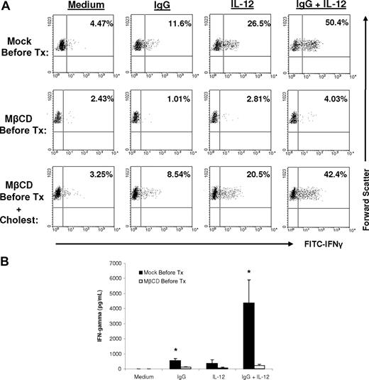 Figure 2. Disruption of lipid raft microdomains inhibits NK cell IFN-γ production in response to immobilized IgG and IL-12. (A) Purified human NK cells from a healthy donor were pretreated with MβCD (a cholesterol chelator) and then plated onto flat-bottom wells that were precoated overnight with 100 μg/mL human IgG (ie, immobilized Ab) in medium containing 10 ng/mL IL-12. Control conditions consisted of NK cells cultured with medium alone (Medium), immobilized IgG alone (IgG), or IL-12 alone (IL-12). NK cells were cultured with brefeldin-A for 12 hours and analyzed for IFN-γ production by intracellular flow cytometry. In another arm of the same experiment, NK cells that had been pretreated with MβCD were reconstituted with cholesterol prior to use in the immobilized IgG assay. The percentage of NK cells actively producing IFN-γ is shown within each dot plot. Results from a representative donor are shown (n = 4 donors tested). (B) NK cells pretreated with MβCD were used in an immobilized IgG assay with 10 ng/mL IL-12, as described in panel A. Cell culture supernatants were harvested after 24 hours and analyzed for IFN-γ content by ELISA. Results depict the mean plus or minus SEM of 4 donors tested. *P < .005 versus mock pretreatment (Mock Pre-Tx) control for the same stimulation condition.