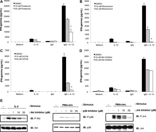 Figure 4. IFN-γ production by FcR-stimulated NK cells in the presence of IL-12 is dependent upon activated Syk, PI-3K, and the ERK MAPK, but not p38, Jnk, or Akt. NK cells were pretreated with increasing concentrations of biochemical inhibitors of (A) Syk (piceatannol), (B) PI3-K (wortmannin), (C) ERK (U0126), or (D) Akt (Akt inhibitor; Calbiochem), and then plated in the immobilized IgG + IL-12 assay. Culture supernatants were harvested after 24 hours and analyzed for IFN-γ content by ELISA. Cells were counted via trypan blue exclusion following inhibitor pretreatment and following the IgG + IL-12 culture period to ensure equal viability of control-treated and inhibitor-treated NK cells. Pretreatment of NK cells with inhibitors of the p38 MAPK or Jnk MAPK had no effect on IFN-γ production in response to immobilized IgG and IL-12 (data not shown; similar results as with Akt inhibitor). (E) NK cells were pretreated with the indicated inhibitor and activated with various control stimuli (5 nM IL-2 or 50 ng/mL PMA plus 500 ng/mL ionomycin) for 10 minutes at 37°C. Cells were lysed, and levels of each phosphoprotein and total protein were measured by immmunoblot analysis. *P < .05 versus DMSO control for the IgG + IL-12 stimulation condition. Results represent the mean plus or minus SEM from n = 5 determinations.