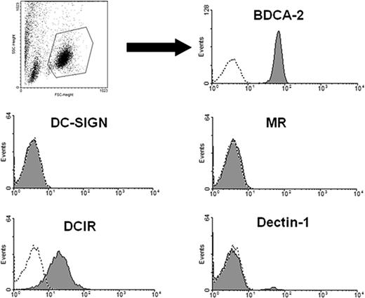 Figure 1. C-type lectin DCIR is expressed by human pDCs. PDCs were isolated with anti–BDCA-4 antibody-coated magnetic beads and labeled with the indicated antibodies (shaded areas) or the matching isotype controls (dotted lines). Samples were analyzed by flow cytometry and gated on the pDC population (according to forward/sideward scatter). DCIR and BDCA-2 are clearly expressed, whereas expression of the CLRs DC-SIGN, MR, and dectin-1 cannot be detected. FACS data are representative of 4 independent experiments.