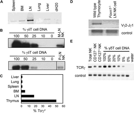 Figure 3. LN contains thymus-dependent Tcrγ+ NK cells. (A) DNA was extracted from NK cells purified from various tissues of B6 mice. Equivalent amount of NK-cell DNA from each tissue was subjected to genomic PCR for rearranged Tcrγ (Vγ2-Jγ1) gene and separated by agarose gel electrophoresis. Ethidium bromide staining of the agarose gel is shown. (B) Mesenteric (M-LN) and peripheral (P-LN) LN NK cells were purified by cell sorting and DNA extracted. Semiquantitative genomic PCR for rearranged Tcrγ (Vγ2-Jγ1) was performed and analyzed by Southern blot as in Figure 2B. Images from different parts of the same membrane are divided by lines. (C) NK cells from indicated tissues were purified and subjected to semiquantitative genomic PCR for rearranged Tcrγ (Vγ2-Jγ1) gene as in panel B, and the approximate percentages of Tcrγ+ NK cells were determined. The results are average of 2 experiments. (D) DNA was extracted from NK cells purified from nude (Foxn1−/−) mouse LN and subjected to genomic PCR for rearranged Tcrγ (Vγ2-Jγ1) gene as in panel A. Thymocytes from wild-type B6 mice were used as positive control. Genomic PCR for Nkg2a was used as control. Ethidium bromide staining of agarose gel is shown. (E) DNA was extracted from sorted CD127+, CD127−, and bulk LN NK cells from Tcrβ/Tcrδ-double knockout mice. Semiquantitative genomic PCR for rearranged Tcrγ (Vγ2-Jγ1) gene was performed as in Figure 2B. SYBR Safe (Invitrogen) was used to visualize DNA.