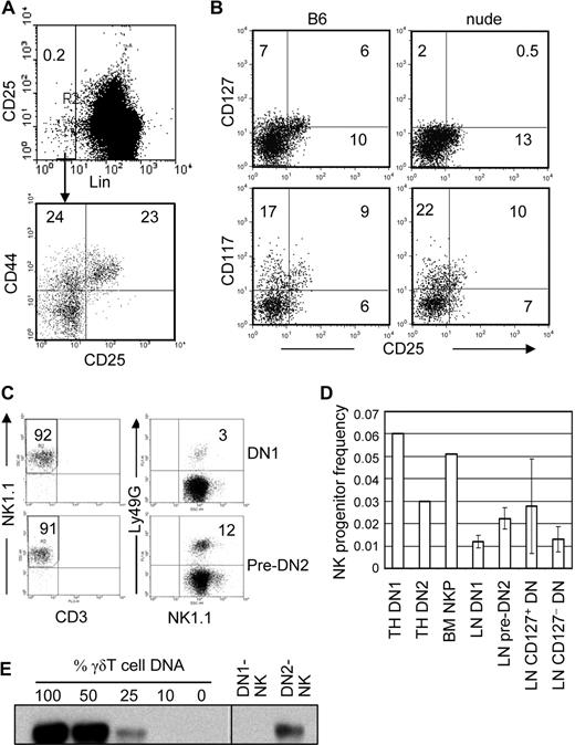 Figure 4. DN1 and pre-DN2 cells in LN are thymus-dependent NK-cell progenitors. (A) LN cells from B6 mice were stained with Lin antibody cocktail, anti-CD25, and anti-CD44 and analyzed by flow cytometry. Lin− cells were gated, and the percentages of DN1 (CD44+CD25−) and pre-DN2 (CD44+CD25lo) cells were determined. The numbers in the dot plots show the percentage of cells in each region. (B) LN cells from nude (Foxn1−/−) B6, and wild-type B6 mice were analyzed for the presence of IL-7Rα (CD127) and c-Kit (CD117) expression on their DN1 and pre-DN2 populations. Lin−CD44+ LN cells were gated, and CD25 and CD127/CD117 expression was analyzed by flow cytometry. Numbers indicate percentages of positively stained cells. (C) DN1 (top) and pre-DN2 (bottom) LN cells were purified from IL-15–deficient B6 mice and cultured for NK-cell differentiation in vitro. Cells recovered from the cultures were analyzed by flow cytometry for the presence of NK cells (left), and expression of Ly49G on NK cells (right). (D) Limiting numbers of DN1 and DN2 thymocytes, DN1 and pre-DN2 LN cells, and CD127+ and CD127− LN DN cells were sorted by FACS and directly deposited into 96-well plates with preestablished OP9 stroma. The cells were cultured for 3 weeks, as in the bulk cultures above, for NK-cell differentiation, and wells with growing cells were scored. The frequency of NK progenitors in each population was determined by L-Calc software (StemCell Technologies). The results are the averages of 3 independent experiments for LN DN populations and 2 independent experiments for thymus DN1, DN2, and BM NKPs. (E) LN DN1 and pre-DN2 cells from B6 mice were purified and cultured for NK-cell differentiation as in panel C. NK cells at the end of culture were purified and subjected to semiquantitative genomic PCR to determine the frequency of cells with rearranged Tcrγ (Vγ2-Jγ1) as in Figure 2B. Images from different parts of the same membrane are divided by lines.