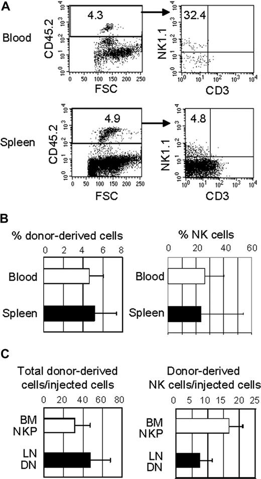 Figure 5. LN DN cells develop into NK cells in lymphopenic mice. LN DN1/pre-DN2 cells were purified from IL-15−/− mice and injected intraperitoneally (104 per mouse) into nonirradiated NOD/Scid/IL-2Rγ−/− mice. After 3 weeks, lymphocytes from the recipient mice were analyzed by flow cytometry. (A) Donor-derived lymphocytes in the recipients' blood and spleens were identified by anti-CD45.2 and NK cells among donor-derived lymphocytes were detected. (B) The percentages of donor-derived cells in the recipients' blood and spleen (left) and NK cells among donor-derived lymphocytes (right) were determined by flow cytometry. Similar results were obtained with LN DN cells from normal B6 mice. (C) The proliferative capacity (left) of BM NKP cells and LN DN cells was compared by dividing the number of total donor-derived cells in the recipients' spleens by the number of injected cells. The NK-cell potential (right) of BM NKP cells and LN DN cells was also compared by dividing the number of donor-derived NK cells in the recipients' spleen by the number of injected cells. The donor-derived cells in the BM and blood were not included in the calculations as they were much lower than those in the spleen.