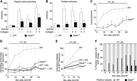 Figure 2. Gas6 promotes endothelial sequestration of platelets and leukocytes via P-selectin. (A,B) In vivo videomicroscopy of mesenteric venules revealed impaired platelet-EC interactions in Gas6−/− mice. Compared with WT mice, fewer platelets tethered/rolled (A) and adhered (B) onto the endothelial surface of the venules after single or combined activation of ECs and platelets. The endothelium was selectively activated by topical administration of A23187. Platelets were selectively activated by injection of collagen together with a GPIIb/IIIa antagonist to avoid aggregation (*P < .05 vs WT, N = 10–21). (C) Loss of Gas6 delayed and impaired the sequestration of leukocytes onto the endothelium, activated by topical administration of A23187. P less than .05 versus WT (ANOVA; *P < .05 vs WT per time point, N = 10-16). (D,E) Impaired and delayed sequestration of leukocytes (D) and platelets (E) onto activated endothelium in Gas6−/− mice can be explained by reduced P-selectin expression as P-selectin inhibition, by systemic infusion of GA, effectively reduced the interactions between circulating cells and the activated endothelium in WT mice but not in Gas6−/− mice. Data were expressed as percentage of the maximal value in WT mice. P less than .05 versus WT (ANOVA; N = 7-16 for leukocytes; N = 7-10 for platelets). (F) Release of VWF strings was impaired and delayed in Gas6−/− mice after topical administration of A23187. Data were expressed as percentage of positive vessels per time point (P < .05 vs WT, ANOVA; N = 10-16).
