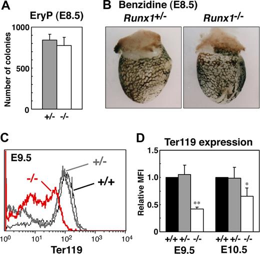 Figure 2. Analysis of primitive erythroid progenitors and differentiated cells in Runx1−/− embryo. (A) Primitive erythroid colonies from E8.5 Runx1+/− yolk sacs (n = 3) and Runx1−/− yolk sacs (n = 3). (B,C) Benzidine staining of E8.5 embryos. Hemoglobinized cells were observed inside blood vessels of yolk sac. Similar staining levels were obtained for wild-type and Runx1−/− embryos. (D) Flow cytometric analysis of E9.5 yolk sac using anti-Ter119 antibody. Black line, gray bold line, or red bold line represents Ter119 expression in Runx1+/+, Runx1+/−, or Runx1−/−, respectively. (E) Relative MFI values of Ter119 for Runx1+/+ (normalized to MFI = 1), Runx1+/−, and Runx1−/− embryos at E9.5 and E10.5. Bar graphs represents mean ratios plus or minus SD derived from Runx1+/− (n = 3 E9.5, n = 4 E10.5) and Runx1−/− (n = 2 E9.5, n = 4 E10.5) embryos. Significant differences in Runx1−/− mice from Runx1+/− mice were observed (**P = .017, *P = .039 by Student t test). Original magnifications ×16. Images in panel B were captured with a Leica MZ FLIII microscope and a Leica DC500 CCD camera with IM50 Imaging Manager, with a PLAN APO 1.0 lens (1.0×/0.125 NA).