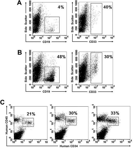Figure 5. Multilineage human hematopoietic engraftment in NOD/SCID mice that received a transplant of limited numbers of CD34+BB9+ cells. Representative examples from the experiment shown in Figure 4 showing myeloid (CD33) and B-lymphoid (CD19) engraftment in individual NOD/SCID recipients of 104 (A) and 2 × 104 (B) CD34+BB9+ cells. The percentages indicate the proportion of hCD45+ cells expressing the particular lineage marker. (C) Examples of 3 mice that received a transplant of 103, 5 × 103, and 2 × 104 CD34+BB9+ cells, demonstrating by means of 2-color analysis the significant proportion of hCD45+ cells within the bone marrow represented by CD34-expressing cells.