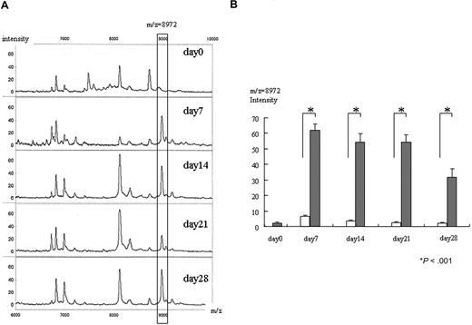 Figure 1. Increase of 8972-Da peak in mouse GVHD plasma. (A) Representative SELDI spectra of the 8972-Da peak at day 0 obtained from pretransplantation and GVHD plasma (days 7, 14, 21, and 28 after transplantation) from an individual mouse are shown. The m/z range of 6000 to 10 000 m/z is shown. The box highlights an 8972-Da peak that is increased in intensity in GVHD plasma compared with day-0 samples. Number at the top and bottom of the figure indicates m/z. The left column indicates relative intensity of the ion peak. The Peak intensity of 8972 Da is 4.6, 47.3, 51.4, 25.2, and 55.9 on days 0, 7, 14, 21, and 28, respectively. (B) Mean normalized intensity values for 8972-Da peak in samples at each time point (day 0 is before transplantation; days 7, 14, 21, and 28 are after transplantation). The average intensity ± SE is depicted (n = 9). All GVHD samples (closed column except day-0 samples) were significantly higher than that of syngeneic controls (open column) on posttransplantation days 7, 14, 21, and 28 as judged by an unpaired t test. Increases on days 7, 14, 21, and 28 of allogeneic samples were also significantly higher than that of day-0 samples (before transplantation) (paired t test). Asterisk indicates P value.