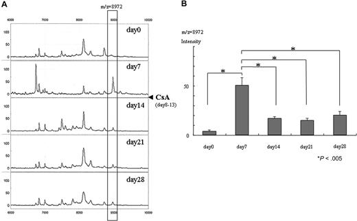 Figure 2. Decrease of 8972-Da peak after CsA administration in GVHD mice. (A) Representative SELDI spectra of control plasma (day 0; before transplantation) and GVHD plasma (days 7, 14, 21, and 28 after transplantation) from the same mouse. The m/z range of 6000 to 10 000 m/z is shown. CsA was administered from day 8 through day 13 after transplantation, indicated by closed triangle. The box highlights a plasma peak with an average mass of 8972 Da that decreased after administration of CsA. The peak intensity of 8972 Da is 5.8, 69.4, 13.8, 15.7, and 14.3 on days 0, 7, 14, 21, and 28, respectively. (B) Mean normalized intensity for the 8972-Da peak in the samples on days 0 (before transplantation), 7, 14, 21, and 28 (n = 6, respectively). The average intensity (± SE) is depicted (n = 6). The 8972-Da peak seen at day 7 significantly decreased at days 14, 21, and 28 (paired t test). The peak at day 7 is significantly higher than that of day 0 (before transplantation) (paired t test). Asterisk indicates P value.