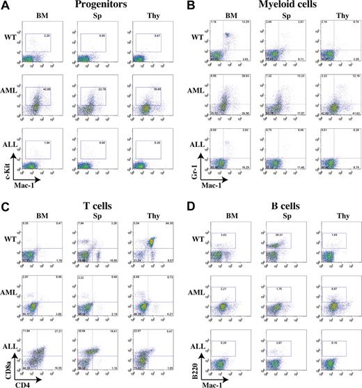Figure 3. Phenotypic characterization of SRS19-6–injected mice. (A) Representative flow cytometric analysis of cell derived from a nonleukemic control mouse, a mouse with AML, and a mouse with T-ALL. Cells from bone marrow (BM), spleen (Sp), and thymus (Thy) were stained with the following cocktails. (A) Progenitors: Mac1-FITC, cKit-APC. (B) Mac1-FITC, Gr1-APC. (C) CD4-FITC, CD8a-PerCP. (D) Mac1-FITC, B220-PE. Numbers indicate percentages of cells in a given gate.