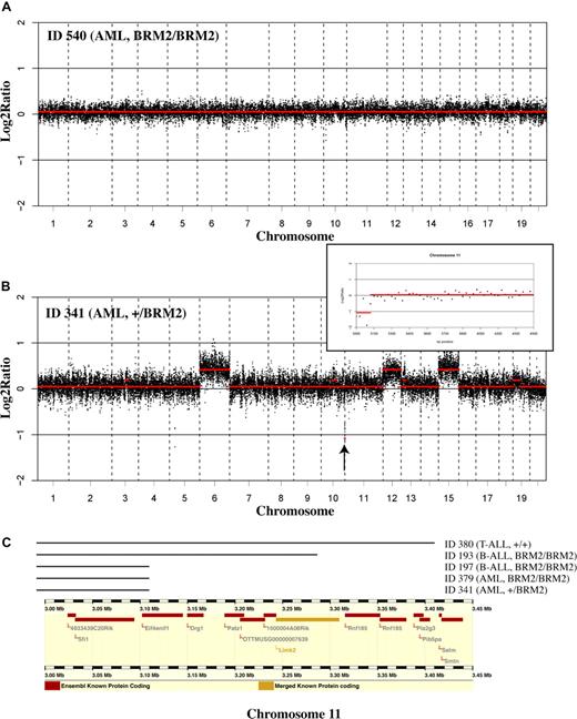 Figure 6. aCGH analyses of SRS19-6–induced leukemias. (A) Splenic tumor DNA from mouse 540 (AML; CebpaBRM2/BRM2) was subjected to aCGH analysis as described in “Detection of chromosomal copy number aberrations by array CGH.” The resulting profiles are displayed using a moving average of 3 (black dots) with the smoothed values superimposed (red lines). The resulting profile demonstrates an essential normal karyotype. (B) aCGH analysis of splenic tumor DNA from mouse 341 (AML; Cebpa+/BRM2) demonstrates gain of chromosomes 6, 12, and 15. The arrow indicates a small region at the tip of chromosome 11 that is deleted in 5 of 10 tumors of various genotypes and phenotypes (C). The insert highlights this small region. Here, raw normalized values are displayed without moving average, with smoothing. (C) ENSEMBL screenshot showing the genes located at the tip of chromosome 11 (due to the repetitive nature of the acromeric region, there are no probeset on the arrays upstream from 3002 kb). The lines above indicate the extent of the deletion and the identity of the mice that have a deletion in this area. The minimal deletions pinpoint Sfi1 and Eif4enif1 as candidate tumor-suppressor genes.