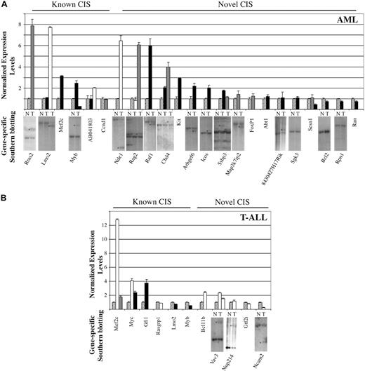 Figure 7. Expression analysis of SRS19-6–tagged genes. Splenic tumor cDNA derived from (A) AML mice and (B) T-ALL mice was subjected to quantitative RT-PCR. Expressions levels were normalized to the level of β-actin mRNA. The expression level of each gene was further normalized to a sample consisting of pooled cDNA from 10 different tumors without retroviral integrations in the gene in question (; all genotypes). This sample was arbitrarily set to 1. All measurements were performed in triplicate, and standard deviations are depicted. The different genotypes are indicated by □ (Cebpa+/+), (Cebpa+/BRM2), or ■ (CebpaBRM2/BRM2). To determine the contribution of the tumor clone, containing an integration in a given gene, to the total tumor mass, we performed gene-specific southern blots. Splenic genomic DNA was isolated from WT (N) and diseased (T) animals and subjected to Southern blot analysis using gene-specific probes. *Bands representing RISs. See Figure S2 for a blow-up of the Southern blots.