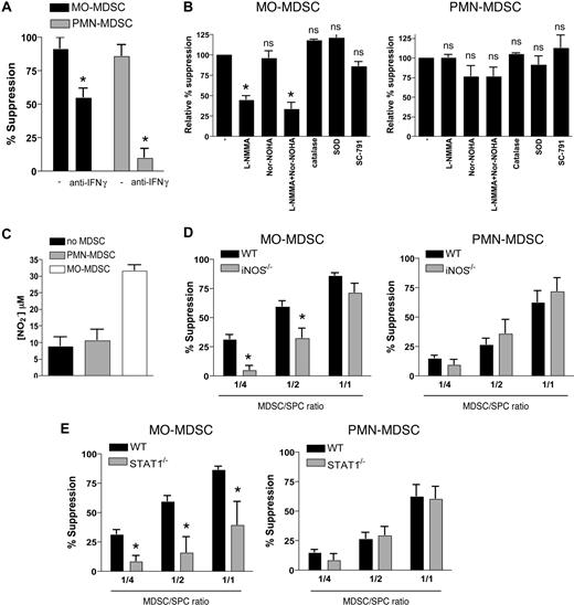 Figure 5. Both MDSC fractions suppress antigen-driven T-cell responses via an IFN-γ–regulated mechanism, although using distinct signaling pathways and effector molecules. (A) OT-1 splenocytes were stimulated with OVA in the presence of EG7 MO- or PMN-MDSCs (1:1 ratio), with or without 10 μg/mL blocking anti–IFN-γ mAb. One representative experiment of 3 is shown. (B) OT-1 splenocytes were stimulated with OVA in the presence of EG7 MO- or PMN-MDSCs (1:1 ratio) with or without the indicated inhibitors. Values represent the mean plus or minus SD of the relative percentage suppression taken over 4 individual experiments (relative percentage suppression = suppression relative to the suppression exerted by MDSCs without the addition of inhibitors, which is arbitrarily set to 100%; “Methods”). (C) OT-1 splenocytes were stimulated with OVA in the presence of EG7 MO- or PMN-MDSCs (1:1 ratio), and at the end of the culture (42 hours) supernatant was collected and the nitrite concentration was measured. (D,E) MO- and PMN-MDSCs were purified from WT, iNOS−/− (D), or STAT1−/− (E) C57BL/6 mice, bearing EG7 tumors with similar diameters. Percentage suppression of OT-1 proliferation, stimulated with OVA in the presence of various amounts of MDSCs was calculated. Values of percentage suppression represent the mean of 4 (iNOS−/−) and 6 (STAT1−/−) individual experiments. *P < .05; **P < .01; ns indicates not significant.