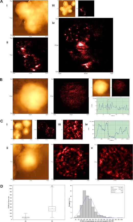 Figure 5. NSOM/QD-based imaging showed that Vγ2Vδ2 TCR arrayed to form high-density TCR nanoclusters, nanodomains, and microdomains during the in vivo clonal expansion of Vγ2Vδ2 T cells after HMBPP/IL-2 treatment. (A) Representative NSOM images of TCR nanoclusters, nanodomains, and microdomains on the membrane of clonally expanded Vδ2 T cells on day 4. (Ai) NSOM topographic images of 3 closely adjacent cells as marked by a smiley face in the low-magnification images showing 6 closely adjacent cells in panel Aiii. (Aii) The NSOM fluorescence image displaying the polarized γδ TCR nanoclusters, nanodomains, and microdomains on the 2 corresponding Vδ2 T cells as shown in panel Ai. (Aiv) The enlarged NSOM fluorescence image of TCR nanoclusters, nanodomains, and microdomains on the Vδ2 T cell shown in the upper left of panel Aii. (B) Representative NSOM topographic (left) and fluorescence (middle) images indicating the dominance of nonengaging fluorescence TCR dots on the membrane of unstimulated Vγ2 T cells on day 0. The fluorescent intensity profile graph (right) is extracted from a random cross section in the fluorescence image (middle) showing that predominant fluorescence TCR dots here displayed FWHM of approximately 50 nm. (C) Representative NSOM images of TCR nanoclusters, nanodomains, and microdomains on the membrane of clonally expanded Vγ2 T cells on day 4. (Cii) Enlarged from the boxed area in the low-magnification NSOM image panel Ci. The fluorescence intensity profile (Civ) is extracted from the cross-sectional part (dashed arrow in Ciii), which is enlarged from the boxed area in panel Cii. (Cv) The NSOM fluorescence image of another activated/expanded Vγ2 T cell collected on day 4. (D) Boxplot (left) and histogram (right) showing the FWHM of approximately 50-nm TCR dots and TCR nanoclusters/nanodamains/microdomains before and day 4 after HMBPP/IL-2 treatment. (**P < .001 vs the values of the unstimulated cells). In the left panel, the center line is the median, the dot is the mean, the boxes are interquartile ranges, and the whiskers are the value ranges. The histogram on the right shows the percentages of different sizes of TCR clusters in total γδ TCR that were counted and measured. The data are the mean frequencies calculated from 5 Vδ2+ and Vγ2+ T cells. Scan size: (Aiii, Ci) 25 × 25 μm2; (Ai,ii, Cii) 15 × 15 μm2; (Cv) 11.5 × 11.5 μm2; (Aiv, B) 9 × 9 μm2; (Ciii) 4.5 × 4.5 μm2. Resolution: (Aiii, Ci) 300 × 300 pixel2; (Ai, Aii, B) 400 × 400 pixel2; (Aiv, Cii,iii, and Cv) 500 × 500 pixel2. Integration time (ms): (Aii-iv) 40; (B) 15; (Ci-iii) 10; (Cv) 20.