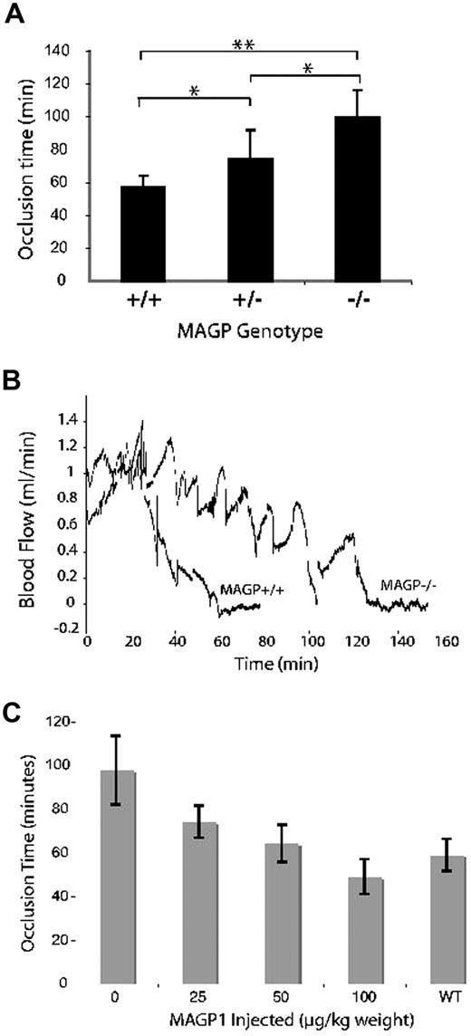 Figure 1. Effect of MAGP1 deficiency on thrombotic occlusion of the carotid artery. (A) Blood flow in the common carotid artery was monitored continuously with an ultrasonic flow probe. Local endothelial injury was induced by application of a 540-nm laser beam to the carotid artery followed by injection of rose bengal dye (50 mg/kg) into the lateral tail vein. Shown is the time to occlusion of blood flow following injury. Error bars indicate mean plus or minus standard deviation (n = 8 for each group). **P < .005, *P < .05. (B) Representative blood flow recordings showing the delayed occlusion time and stochastic flow pattern in MAGP1−/− animals. Rose bengal dye was injected at time = 0 minutes. (C) Infusion of recombinant MAGP1 re-establishes normal occlusion time in MAGP1−/− mice. Recombinant bovine MAGP1 was injected into the tail vein as a single bolus 5 minutes before rose bengal injection. An equivalent bolus of saline served as the control. Error bars indicate mean plus or minus SD (n = 6 for each group).