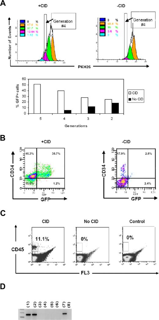 Figure 2. In vitro signaling through F36V-Mpl induces cell division and generation of immunophenotypic and functionally primitive progenitors. (A) CD34+ cells transduced with F36V-MPL-GFP, labeled with PKH26, and analyzed by FACS after 7 days of culture with or without CID. Bar graph shows percentage of GFP+ cells gated from each generation with or without CID at day 7 of culture. (B) FACS analysis of cells cultured with or without CID, after gating on generation 4 (ie, after 3 divisions). (C) Bone marrow engraftment (6 weeks after transplantation) of human cells isolated from generation 4 and transplanted into β2-microglobulin NOD/SCID−/− mice (40 000 cells per mouse) Control indicates mice that did not undergo transplantation. (D) Human-specific Alu PCR of CFU-Cs generated from bone marrow of mice that received transplants of human cells: lanes 1 and 2 show CFUs generated from BM of 2 mice that received transplants of generation 4 of CID-cultured cells; lanes 3 and 4 show duplicate samples of whole bone marrow from mice that received transplants of generation 4 of non-CID–cultured cells; lanes 5 and 6 show duplicate samples of whole bone marrow from control mice that did not undergo transplantation; lane 7 shows +Control (human cord blood); and lane 8 shows −Control (murine cell line).