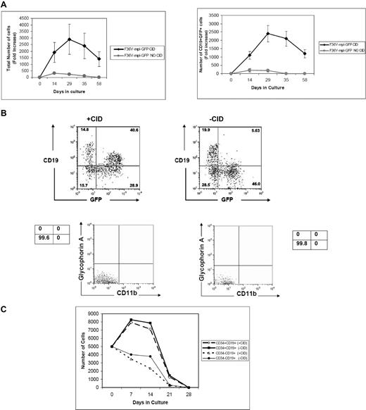 Figure 4. In vitro stimulation of F36V-Mpl increases lymphoid output from multi-lymphoid progenitors. (A) Multilymphoid progenitors (CD34+CD38−Lin−CD7+) transduced with the F36V-MPL-GFP were cultured on MS5 stroma without growth factors with or without CID. Fold increase (mean, SEM) in total number and CD19+GFP+ cells relative to day 0 is shown (n = 5 experiments, in triplicate); P = .04 and .047, respectively. (B) FACS analysis of cells cultured (D29-35) as in panel A. (C) B-cell progenitors (CD34+CD19+) and B cells (CD34−CD19+) were transduced with F36V-MPL-GFP and cultured with or without CID on MS5 stroma without cytokines. (n = 3 wells/arm; mean ± SE).