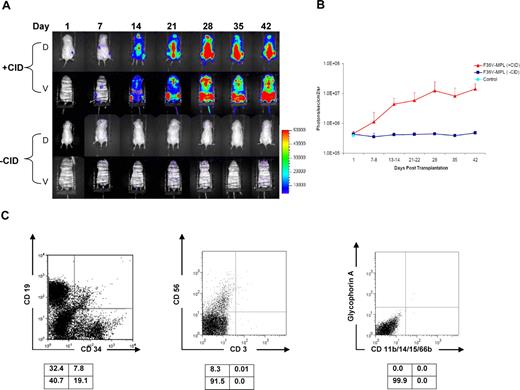 Figure 6. In vivo stimulation of F36V-Mpl signaling in human multilymphoid progenitors. (A) In vivo longitudinal imaging of luciferase expression in 2 NOD/SCID/β2-microglobulin−/− mice that received transplants with CD34+CD38−Lin−CD7+ cells transduced with F36V-MPL and treated with or without CID from day 1; D indicates dorsal view; V, ventral views. (B) Quantification of signal for all animals, n = 6 mice per arm, 2 independent experiments; mean and SD; P = .001 for difference between F36V-MPL with CID and all the other groups). (C) Lineage analysis of human cells in bone marrow of representative CID-treated mouse.