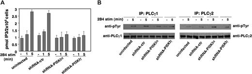 Figure 5. PI5KI isoform silencing impairs receptor-triggered PLCγ activity. (A) Uninfected, shRNA-ctr, shRNA-PI5KIα, or shRNA-PI5KIγ NK92 populations were left unstimulated or were stimulated with anti-2B4-coated polystyrene beads for the indicated times. Lipids were extracted and IP3 levels were measured. Data are expressed as mean plus or minus SD from 3 independent experiments. (B) The same cell populations were left unstimulated or were stimulated with anti-2B4 mAb. PLCγ1 and PLCγ2 immunoprecipitates were analyzed by immunoblotting with anti-pTyr mAb. The same membranes were reprobed with anti-PLCγ1 or PLCγ2 Ab for sample normalization. One representative experiment of 4 performed is shown.