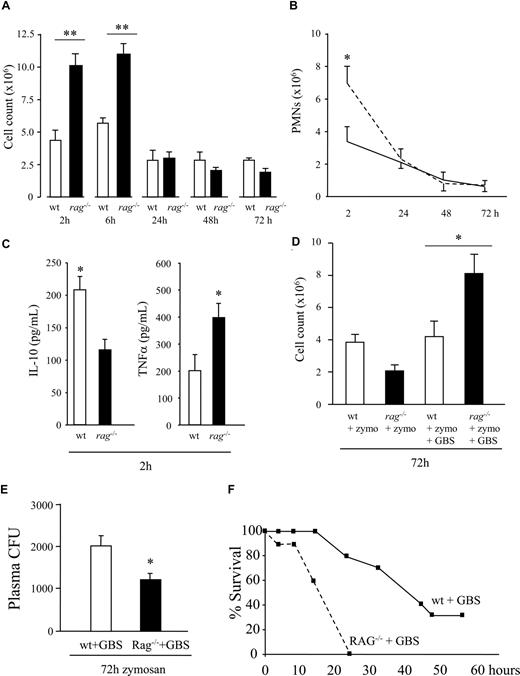 Figure 2. Lymphocytes control early onset of innate inflammation but are dispensable for its resolution. (A,B) Although inflammation doubled in RAG1−/− during the onset phase in response to zymosan, coincident with (C) an imbalance of IL-10 versus TNFα, inflammation normalized with that of wild-type mice from 24 hours onward, suggesting no role for lymphocytes in actively bringing about resolution (ie, clearing PMNs or macrophages). (D) However, RAG1−/− and wild-type mice were injected with GBS during resolution (48 hours after zymosan injection), resulting in enhanced leukocyte accumulation in RAG1−/− but not wild-type mice 24 hours later. (E) This was associated with reduced bacterial colonization in plasma but (F) increased mortality in RAG1−/− mice as a result of the concomitant hyperinflammatory response. We therefore argue that lymphocytes are not required for bringing about resolution and propose that their reappearance hails the end of the inflammatory event and an attempt at restorative physiology. Their role in this setting is in protecting against secondary infection or injury with B cells, CD4+/CD25+ cells, and γ/δ T cells as well as NK cells playing a likely role in this setting. n = 6 to 8 animals per group, with experiments repeated on 2 separate occasions to confirm original findings. *P ≤ .05; **P ≤ .01, as determined by ANOVA, followed by Bonferroni t test, with data expressed as means plus or minus SEM.