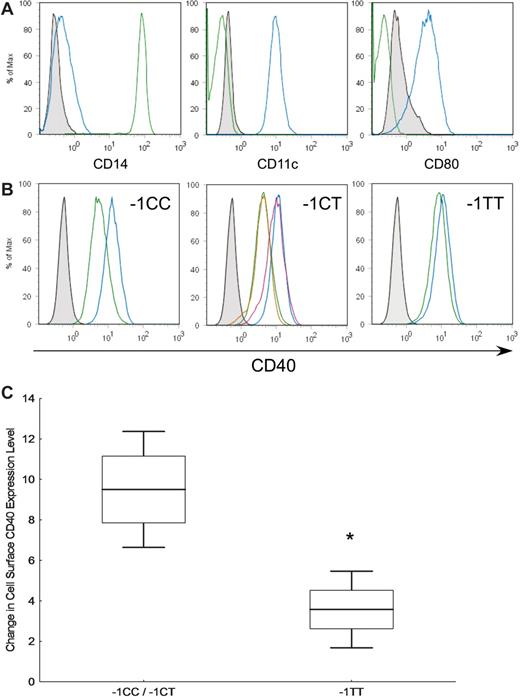 Figure 2. CD40 surface expression levels on lipopolysaccharide (LPS)–activated dendritic cells. (A) Monocytes fractionated from peripheral blood mononuclear cells were stained with CD14, CD11c, and CD80 (green) and after 6 days of IL-4 and GM-CSF stimulation, a dendritic cell phenotype was observed (blue). (B) Monocyte-derived dendritic cells treated with (blue) and without (green) LPS were stained with CD40 antibody. A replicate experiment for the TNFRSF5 −1CT individual is shown (red) overlapping the previous experiment. (C) Representative plots of differences between lipopolysaccharide (LPS) untreated and treated CD40 peak levels (TNFRSF5 −1CC/−1CT n = 7, −1TT n = 4). Means (bars) with standard errors (boxes) and one SD (whiskers) are plotted. Data from −1CC and −1CT carriers were pooled due to similarities in their CD40 shifts.