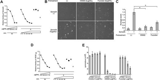 Figure 6. DS500 and fucoidan inhibit Sema3A and VEGF165 cell binding and function. (A) DS500 and fucoidan block Sema3A binding to HUVECs. Cells were incubated with DS500 (●; 0-8 μg/mL), heparin (▲), ChoSul A (■), dextran (♦), or fucoidan (○; 8 μg/mL), washed (1 M NaCl), and incubated with Sema3A/Fc. Bound Sema3A/Fc was detected by flow cytometry. (B,C) DS500 and fucoidan inhibit Sema3A-induced lamellipodia retraction in HUVECs. After preincubation with or without DS500 or fucoidan, HUVECs were allowed to attach onto fibronectin-coated slides, and then incubated with or without Sema3A/Fc. (B) Representative images. Magnification 100×. (C) Average retraction scores (± SD of 4 fields). *P < .01. (D) DS500 and fucoidan block VEGF165 binding to HUVECs. Bound VEGF165was detected by flow cytometry. Experimental conditions as described in panel A. (E) DS500 and fucoidan inhibit VEGF165-induced proliferation of HUVECs. Cells were cultured (3 days) with ChoSul A, DS500, or fucoidan in the presence of VEGF165 (25 ng/mL); proliferation was measured by 3H-thymidine uptake. Results are expressed as mean cpm/culture (± SD of triplicate cultures).