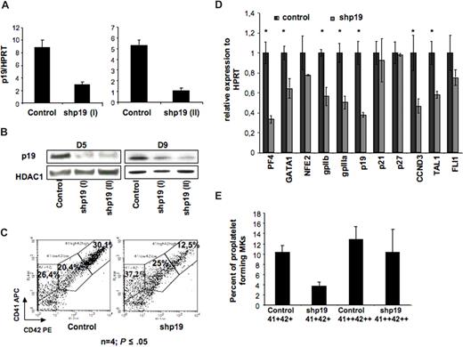 Figure 2. Effect of p19 INK4D knockdown on MK differentiation. CD34+ cells were transduced with a control lentivirus or a lentivirus encoding either shRNA p19 (I) or shRNA p19 (II) GFP positive (GFP+). (A) p19INK4D mRNAs were measured by QRT-PCR in GFP-positive cells at day 5 of culture. Error bars are standard deviations of the mean of 3 repeated experiments. (B) p19INK4D protein level was analyzed at day 5 and day 9 of culture by Western blot. HDAC-1 was used as internal control of a quantity. The data illustrate 1 of 2 representative experiments that produced similar results. (C) Flow cytometric analysis of mature megakaryocytes expressing a high level of CD41 and CD42 antigens in GFP+ cells at day 9 of culture. (D) Real-time RT-PCR was used to quantify PF4, NF-E2, GATA-1, GPIIb, GPIIIa, FLI-1, p19INK4D, p21, p27, cyclin D3 (CCND3), and TAL-1 mRNAs in GFP+ cells (at day 9 of culture). The relative expression of all these genes was calculated in comparison with HPRT mRNA. (E) GFP+ cells were sorted at day 9 either on the low coexpression of CD41 and CD42 (CD41+ CD42+ population) or on a high expression of both antigens (CD41++ CD42++ population). Cells were seeded at 2 × 103 cells/well in 96-well plate. At day 12, the percentage of MKs forming proplatelets was estimated by counting MKs exhibiting one or more cytoplasmic processes with areas of constriction among 500 cells per well (in 5 wells). Panel C shows 1 representative analysis of 4 repeated experiments with similar results. Error bars in histograms in panels D,E represent the standard deviation of 3 repeated experiments each performed in triplicate wells.