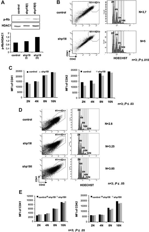 Figure 3. Effect of p19INK4D knockdown on cell cycle and CD41 or CD42 expression. CD34+ cells were transduced at days 1 and 2 (A-C) or days 5 and 6 (D,E) of culture with a control lentivirus and the lentivirus encoding either shRNA p19 (I) or shRNA p19 (II). GFP+ cells were analyzed at day 9. (A) Immunoblot analysis showing that phosphorylation of Rb on Serine 780 (p-Rb) was increased after MK transduction by the 2 shRNA p19. (B,D) Only the CD41++CD42++ cell population (left panel), corresponding to mature MKs, was analyzed for ploidy level by Hoechst staining (right panel). The mean ploidy (N) was calculated from the number of cells at each ploidy level. (C,E) The mean fluorescence intensity (MFI) of CD41 (left panel) and of CD42 (right panel) was analyzed separately for each ploidy class (from 2N to 16N). Panels B-E illustrate 1 representative analysis of 3 repeated experiments with similar results, and P values refer to 3 independent experiments.