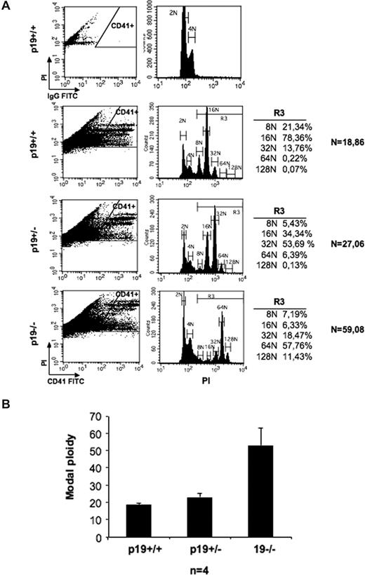 Figure 5. Bone marrow p19INK4D knockout megakaryocytes have an increased ploidy. Bone marrow megakaryocyte ploidy from WT, p19INK4D+/−, and p19INK4D−/− was measured after labeling with an anti-CD41 antibody and propidium iodide (PI) staining using flow cytometry. More than 10 × 106 cells were recorded and the ploidy was measured in a CD41-high gate. (A) One representative experiment is shown. (B) The mean ploidy of 4 experiments is illustrated. In all experiments, the modal ploidy increased from 16N in wt MKs to 32N in p19INK4D+/− MKs and to 64N in p19INK4D −/− MKs as shown in panel A.