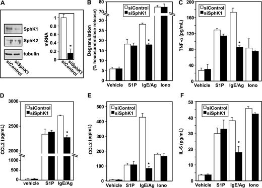 Figure 2. Down-regulation of SphK1 decreases antigen-induced degranulation and cytokine and chemokine secretion from human LAD2 mast cells. LAD2 cells were transfected with control siRNA (□) or SphK1 siRNA (■) as described in “siRNA transfection.” (A) Equal amounts of lysates (10 μg) were immunoblotted with anti-SphK1 or anti-SphK2 antibodies. Blots were stripped and reprobed with antitubulin to ensure equal loading and transfer. RNA was isolated and mRNA levels of SphK1 were determined by quantitative real-time PCR. Data are expressed relative to cells treated with control siRNA, calculated according to the 2−ΔΔCt method. (B-F) Duplicate cultures were treated with vehicle, IgE/Ag (30 ng/mL), S1P (100 nM), or ionomycin (1 μM) for 2 hours (B-D,F) or 30 minutes (E). Degranulation (B) and secretion of TNF-α (C), CCL2 (D,E), and IL-6 (F) was determined by ELISA. Data are the means plus or minus SD of triplicate determinations. Similar results were obtained in 3 independent experiments. *P ≤ .01.