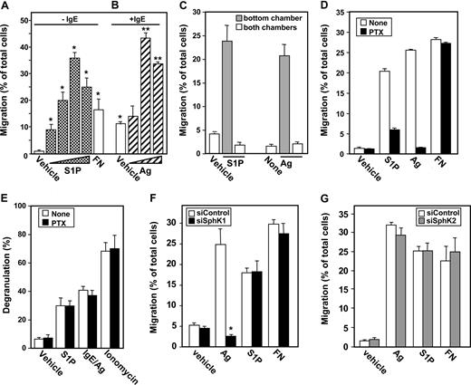 Figure 4. Chemotaxis of mast cells toward antigen and S1P is pertussis toxin sensitive. Migration of (A) unsensitized LAD2 cells toward increasing concentrations of S1P (0.1, 1, 10, 20 μM) or FN (20 μg/mL) and (B) IgE-sensitized LAD2 cells toward increasing concentrations of Ag (10, 30, 100 ng/mL) was determined in transwell chambers. *P ≤ .01 compared with vehicle in unsensitized cells. **P ≤ .01 compared with vehicle in sensitized cells. (C) S1P (10 μM) or Ag (30 ng/mL) was added to either the bottom chamber () or to both the top and bottom chambers (), and migration of LAD2 was determined. (D) LAD2 cells pretreated for 1.5 hours without (□) or with pertussis toxin (PTX, 100 ng/mL, ) were allowed to migrate toward vehicle, S1P (1 μM), IgE/Ag (30 ng/mL), or fibronectin (20 μg/mL). (E) LAD2 cells pretreated for 1.5 hours without (□) or with pertussis toxin (PTX, 100 ng/mL, ) were treated with vehicle, S1P, anti-DNP IgE and DNP-HSA (IgE/Ag), or ionomycin (1 μM), and degranulation was determined by β-hexosaminidase release. (F,G) Chemotaxis of mast cells toward antigen is dependent on SphK1 but not on SphK2. (F) LAD2 cells were transfected with control siRNA (□) or siRNA targeted to SphK1 (■) or (G) siRNA targeted to SphK2 (). Cells were then sensitized with 1 μg/mL anti-DNP IgE for 5 hours, and allowed to migrate toward vehicle, Ag (30 ng/mL), S1P (1 μM), or fibronectin (20 μg/mL) for 24 hours. Data are expressed as percentage migrating cells and are means plus or minus SD. Similar results were obtained in 3 independent experiments.