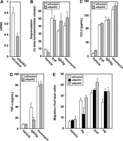 Figure 7. SphK2 is dispensable for degranulation and migration of hMCs but is required for secretion of TNF-α. Purified cord blood–derived human mast cells (hMCs) were transfected with control siRNA (□) or SphK2 siRNA (). (A) SphK2 mRNA levels normalized to GAPDH mRNA were measured by QPCR. (B-D) hMCs were sensitized overnight with IgE and then treated with Ag (30 ng/mL), S1P (100 nM), or ionomycin (1 μM) for 2 hours. Degranulation (B) and secretion of CCL2 (C) and TNF-α (D) were determined. Data are the means plus or minus SD of triplicate determinations. Similar results were obtained in 3 independent experiments. (E) hMCs were transfected with control siRNA (□), siRNA targeted to SphK1 (■), or siRNA targeted to SphK2 (). Cells were then sensitized with 1 μg/mL anti-DNP IgE for 12 hours, and allowed to migrate toward vehicle, Ag (30 ng/mL), S1P (1 μM), or fibronectin (20 μg/mL) for 24 hours. Data are expressed as percentage migrating cells and are means plus or minus SD. *P ≤ .01.
