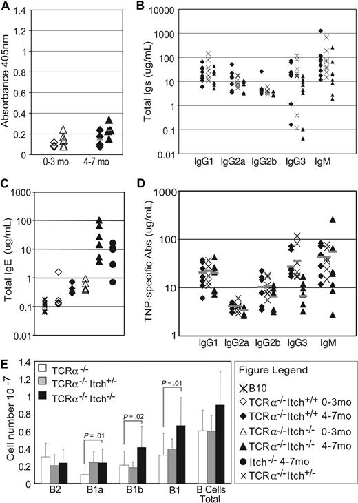 Figure 4. Itch−/− αβ T cells are required for elevated IgM and autoimmune antibodies but dispensable for hyper-IgE. (A) No production of antinuclear antibodies was detected by ELISA in sera of TCRa−/− or TCRa−/− Itch−/− mice. Mice are divided in 2 age groups: 1 to 3 and 4 to 7 months of age. (B) Analysis of total Igs by ELISA from preimmune TCRa−/− WT, TCRa−/− Itch−/+, and TCRa−/− Itch−/− mice shows no significant difference among the groups for most of the isotypes. (C) However, IgE is substantially elevated in Itch−/− mice. (D) Ag-specific Igs in TCRa−/− WT, TCRa−/− Itch+/−, and TCRa−/− Itch−/− mice immunized with TNP-Ficoll were equivalent. (E) The average (± SD) numbers of total peritoneal B-cell subpopulations from TCRa−/− WT (□; n = 8), TCRa−/− Itch+/− (; n = 8), and TCRa−/− Itch−/− (■; n = 18) mice are shown. Subpopulations were identified by flow cytometry as follows: B2 = IgDhiIgMlo; B1 = IgMhiIgDlo; B1a = Mac1+CD5+; and B1b = Mac1+CD5−.