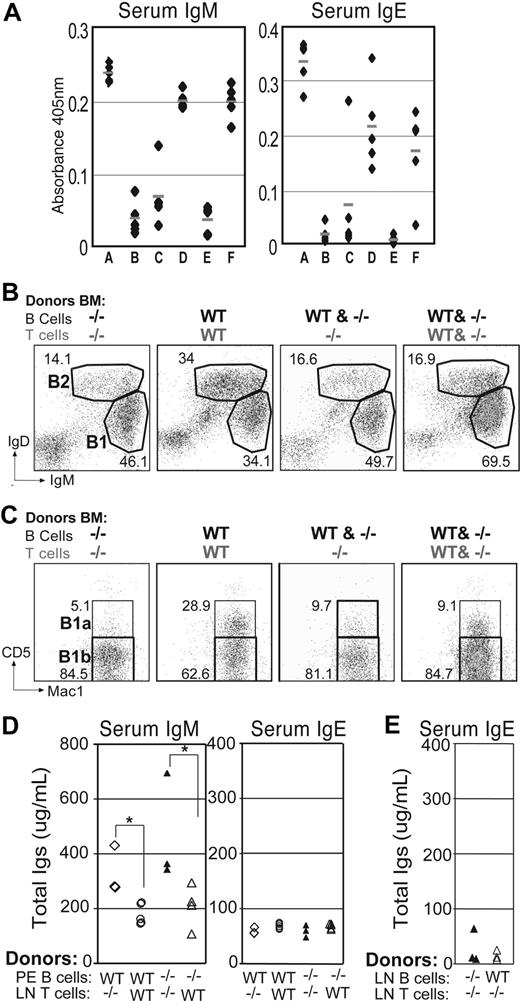 Figure 5. Autoimmunity and expansion of B1b cells requires Itch−/− T cells.(A) Rag1−/− mice were reconstituted with combinations of bone marrow from WT or Itch−/− mouse strains (Table 1) and analyzed 14 to 18 weeks later. Anti-IgM and anti-IgE ELISA are shown for sera of mixed chimeras. (B) Representative FACS plots of peritoneal cells from mixed chimeric mice are shown for B cells after gating on lymphocytes using side and forward scatter profiles. (C) B1-gated peritoneal cells from the same mice were stained for B1a (Mac1+CD5+) and B1b (Mac1+CD5−) cells. (D) Rag1−/− mice were reconstituted with WT or Itch−/− purified peritoneal B1 cells together with purified Itch−/− or WT CD4+ T cells (LN), as indicated. Sera were analyzed 4 weeks later for total IgM (left) and IgE (right) by ELISA. (*P < .05). (E) Rag1−/− mice were reconstituted with WT or Itch−/− B cells (LN) together with purified Itch−/− or WT CD4+ T cells, as indicated. Sera were analyzed 4 weeks later for IgE by ELISA.