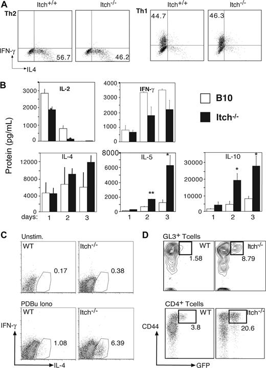 Figure 6. γδ T cells from Itch−/− mice produce IL-4 ex vivo. (A) Naive CD4+ T cells were stimulated under Th1- or Th2-polarizing conditions in vitro for 1 week before incubation for 4 hours with PDBu and ionomycin in presence of brefeldin A. IL-4 and IFN-γ production was evaluated by FACS after intracellular staining with specific fluorescent Abs. (B) WT (□) and Itch−/− (■) lymph node CD4+ T cells were stimulated for 1, 2, or 3 days with anti-CD3/anti-CD28 Abs in presence of CD11c+ spleen APCs. Cytokine levels were detected by a multiplex fluorescent bead immunoassay. Representative profiles of selected cytokines in 1 of 5 experiments are shown (*P < .05). (C) Splenic WT and Itch−/− γδ T cells were left unstimulated or activated with PDBu and ionomycin in presence of brefeldin A for 4 hours. IL-4 and IFN-γ production was evaluated by FACS after intracellular staining with fluorescent specific Abs. Representative profile in 1 of 3 experiments are shown. (D) IL-4 production in peritoneal γδ T cells and CD4+ αβ T cells was monitored directly ex vivo using 4get WT or 4get Itch−/− IL-4 reporter mice. Gated γδ T cells (GL3+ CD3+) or CD4+ αβ T cells (H57+) are shown, after gating on lymphocytes using side and forward scatter profile. Percentage of CD44+ GFP+ is indicated.