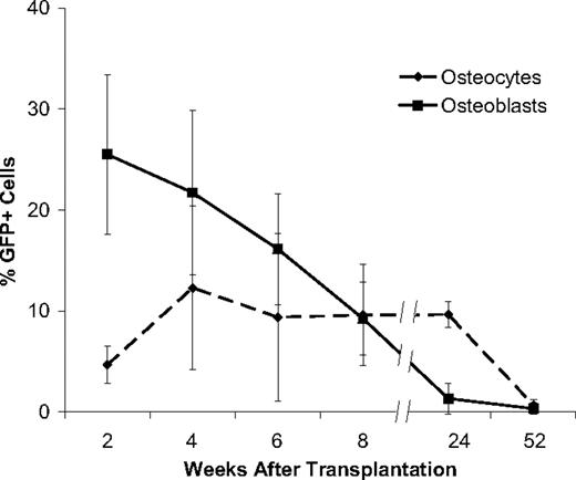 Figure 3. Kinetics of bone engraftment after transplantation. Robust GFP+ osteoblast engraftment was detected at 2 and 4 weeks after transplantation with significant declines thereafter: 6 weeks (P = .02), 8 weeks (P = .04), 24 weeks (P = .01). GFP+ osteocyte engraftment showed a different kinetic profile characterized by a significant increase at 4 weeks (P = .04), a plateau phase and a significant decrease to a negligible level at 52 weeks (P = .004). To quantify the engraftment of donor GFP + cells in bone, we scored 20 random 400× fields in both the epiphysis and the metaphysis of 10 bone sections taken from each mouse at different times after transplantation (n ≥ 4 mice per group). Experiments were performed in triplicate. The reported values are mean (+SD) percentages of GFP+ cells per 400× microscopic field.