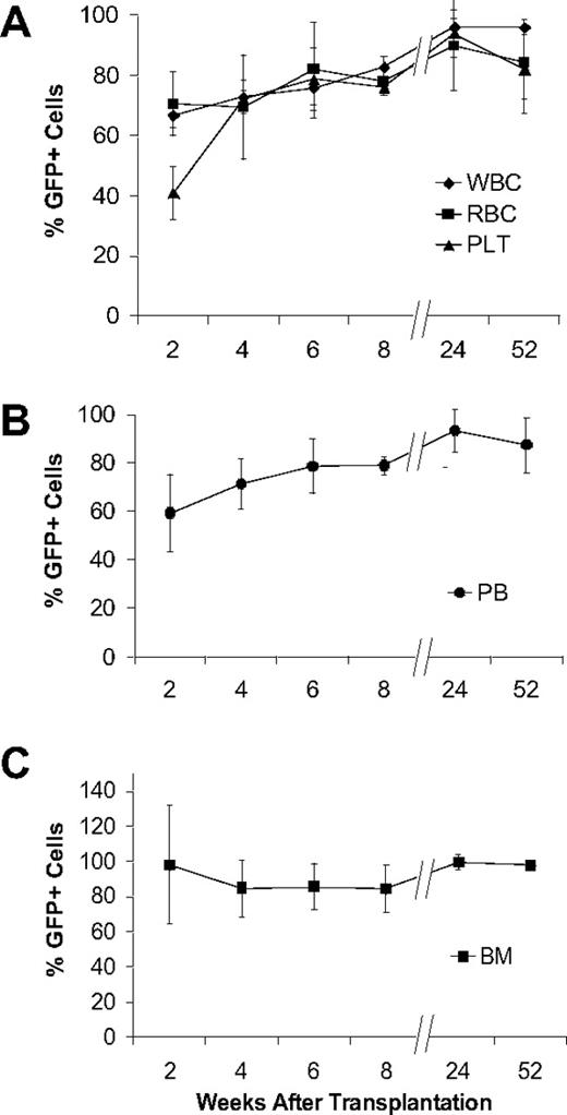 Figure 4. Nonadherent bone marrow cells can produce stable hematopoietic engraftment. (A) GFP expression by white blood cells (WBC), red blood cells (RBC), and platelets (PLT) assessed by flow cytometry with the whole peripheral blood analyses. The findings are reported as mean (+SD) percentages of GFP+ cells representing each of the 3 hematopoietic lineages. Values for all lineages were significantly increased at 24 weeks (WBC, P < .001; RBC, P = .03; PLT, P = .008) compared with 2 weeks, becoming stable thereafter. (B) Flow cytometric analysis of GFP expression in whole peripheral blood (PB) collected from the mice that underwent transplantation (n ≥ 4 per group) at increasing times after transplantation. The findings are reported as mean (+SD) percentages of GFP+ cells. (C) GFP expression in bone marrow assessed at different times after transplantation. We scored 20 randomly selected 400× fields in representative sections from each mouse (n ≥ 4 mice per group). The values were derived from immunohistochemical analyses of bone/bone marrow sections stained with anti-GFP antibody and are expressed as mean (+SD) percentages of GFP+ cells in each microscopic field. All experiments were performed in triplicate.