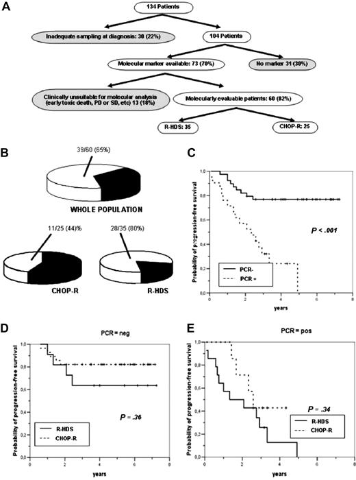 Figure 4. Results of MRD analysis in the GITMO/IIL trial. (A) Results of screening for molecular markers and assignment of evaluable patients to treatment arm. (B) MR in the whole patient population and in CHOP-R and R-HDS patients. (C) PFS according to the presence of MR (PCR−) or lack of MR (PCR+). (D) PFS according to treatment arm in patients achieving MR. (E) PFS according to treatment arm in patients not achieving MR.