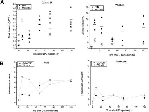 Figure 1. Absolute neutrophils and monocytes counts in the blood of LPS-injected mice. Compound mutant G-CSF−/−/GM-CSF−/− (G,GM-CSF−/−) and wild-type (wt) mice were injected with LPS (30 μg/mouse in 100 μL PBS) or with PBS. 3 mice were killed at each time point after injection. Total WBC for each sample were determined using a Sysmex K1000 automated counter. Blood smears were stained with May Grünwald/Giemsa and differential counts were performed on a Nikon 90 I microscope using a 60× oil lens. (A) Absolute blood counts for polymorphic neutrophils (PMNs, solid symbols) and monocytes (open symbols) in G-CSF−/−/GM-CSF−/− and wt mice, respectively. Symbols refer to individual values for each mouse with the average for each group indicated by horizontal bars. (B) Fold increase in the total number of PMNs (left panel) and monocytes (right panel) with time after exposure to LPS. Closed symbols, G-CSF−/−/GM-CSF−/− mice; open symbols, wild-type mice.