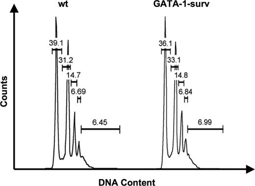 Figure 2. Analysis of MK ploidy status of GATA-1-surv mice. Representative MK ploidy profiles of wild-type (wt) and GATA-1-surv mice. Average MK ploidy displayed no significant change between wild-type and transgenic mice (n = 5 mice per group). Differences in ploidy profiles between GATA-1-surv MKs and PF4-surv mice (Table 2) could be due to the different mouse strains (FVB and CD-1; see Document S1).